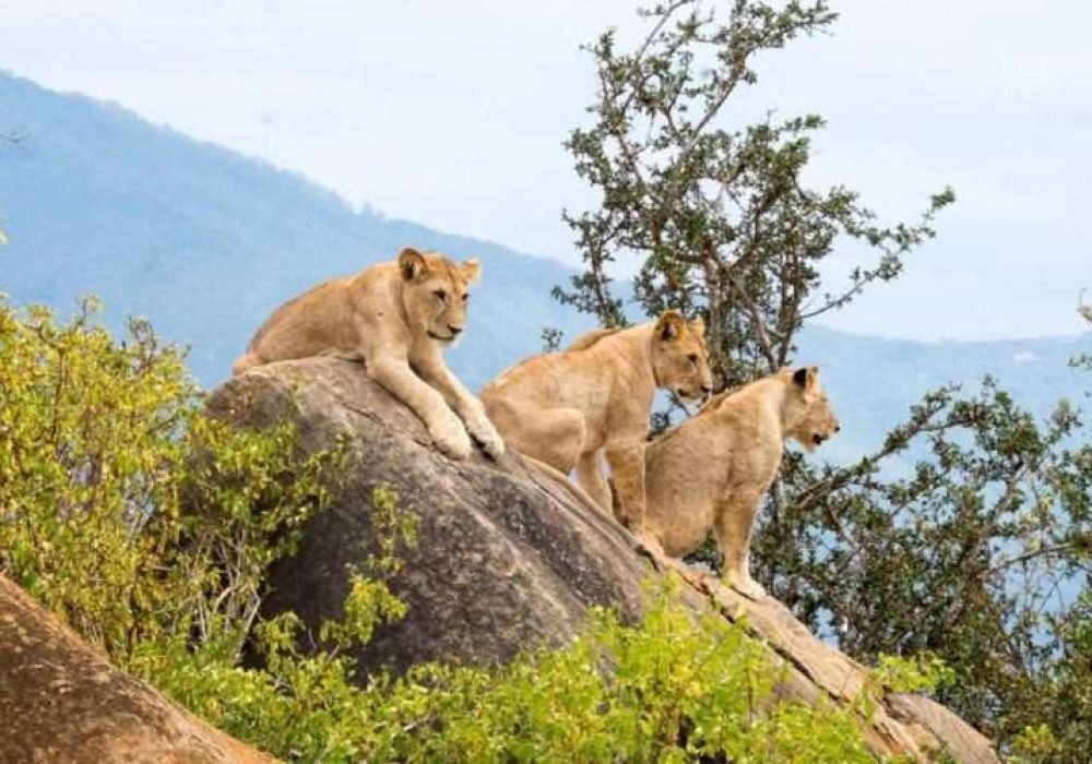 Tsavo East National Park