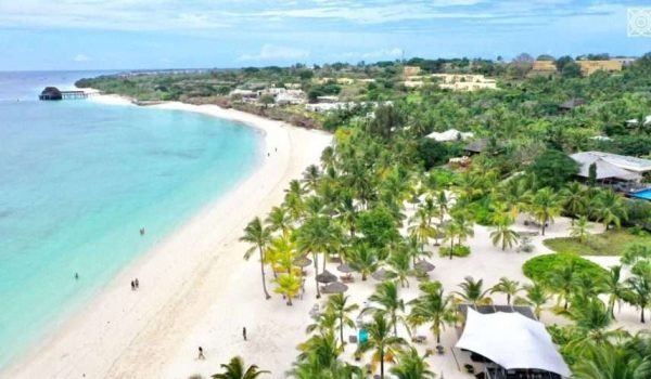 ZURI Beach Drone4 scaled ZURI Beach Drone4 scaled
