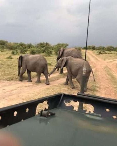amboseli kenya